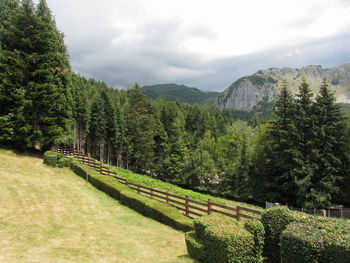 Scenic view of trees and mountains against sky