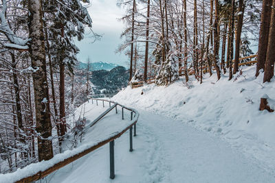 Forest path covered with snow, bavaria germany.