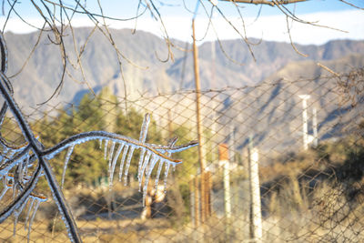 Close-up of chainlink fence on field