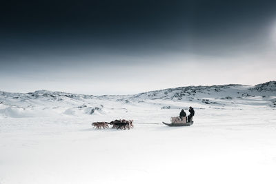 View of horse on snow covered mountain against sky