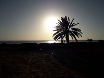 Silhouette palm tree on beach against clear sky at sunset