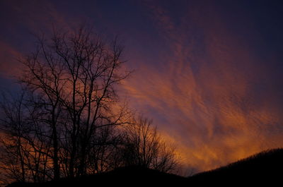 Low angle view of silhouette trees against sky at sunset