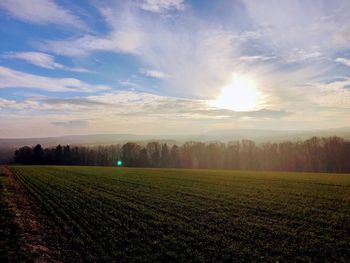 Scenic view of agricultural field against sky