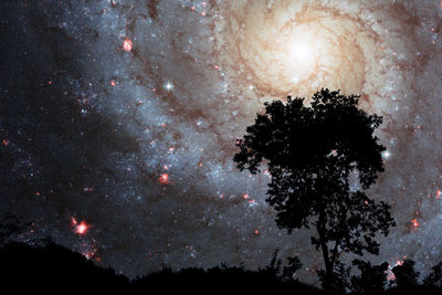 Low angle view of silhouette tree against sky at night