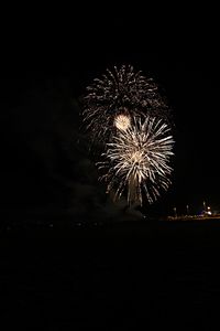 Low angle view of firework display at night