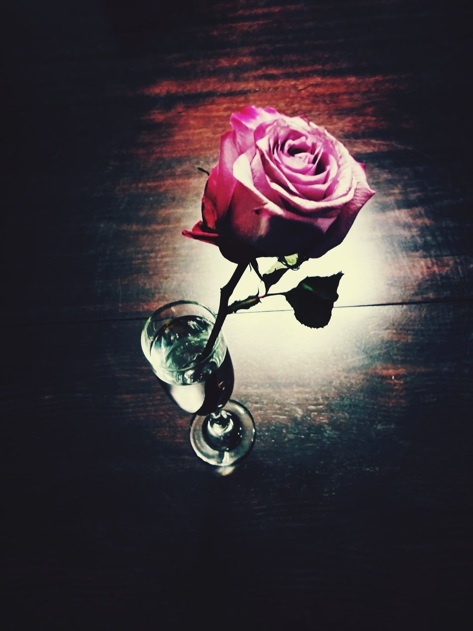 HIGH ANGLE VIEW OF ROSE ON TABLE