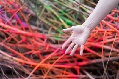 Cropped hand gesturing against colorful wood