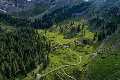 High angle view of road amidst trees and mountains