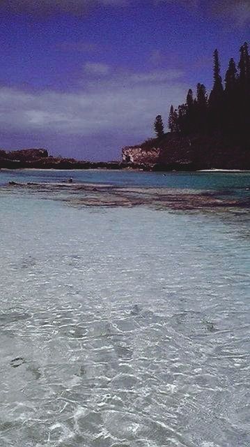 Newcaledonia