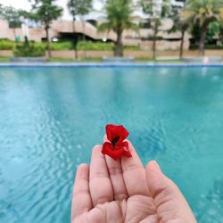 Close-up of hand holding flower in swimming pool