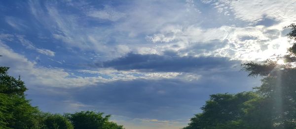 Low angle view of trees against cloudy sky