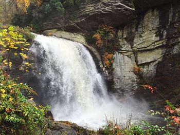 Scenic view of waterfall in forest