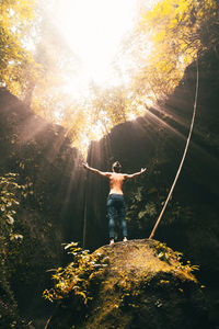 Man standing by plants in forest