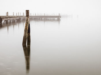 Wooden posts in lake against sky