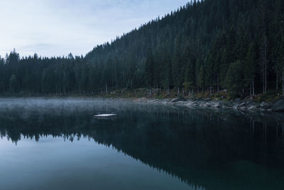 Reflection of trees in lake against sky