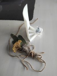 High angle view of insect on white table