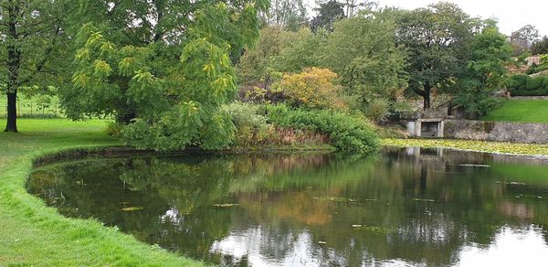 Scenic view of lake by trees
