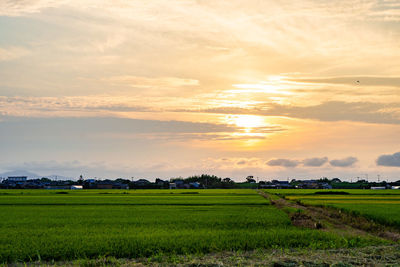 Scenic view of field against sky during sunset