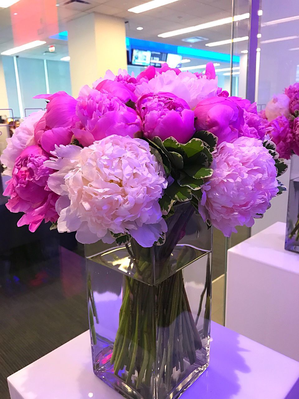 CLOSE-UP OF FLOWER BOUQUET ON TABLE