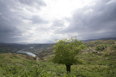 Scenic view of landscape against sky