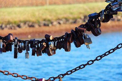 Close-up of padlocks on railing