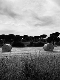 Hay bales on field against sky