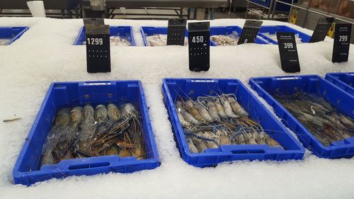 High angle view of fish for sale at market