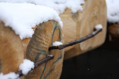 Close-up of snow tied up