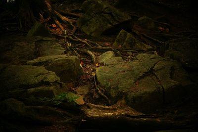 Rocks at night