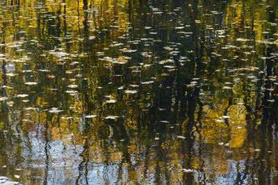 Full frame shot of water