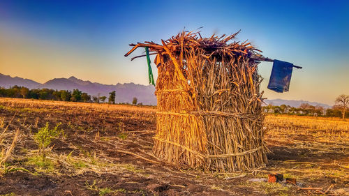 Scenic view of farm against sky