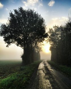 Road amidst trees on field against sky during sunset