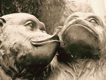 Close-up of statue against water