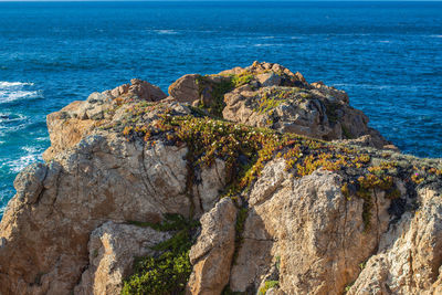 High angle view of rocks on shore