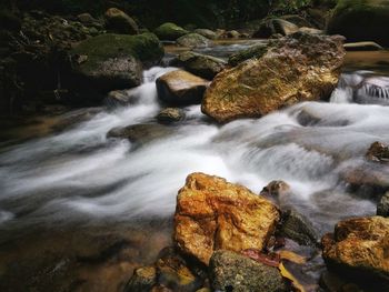 Scenic view of waterfall in forest