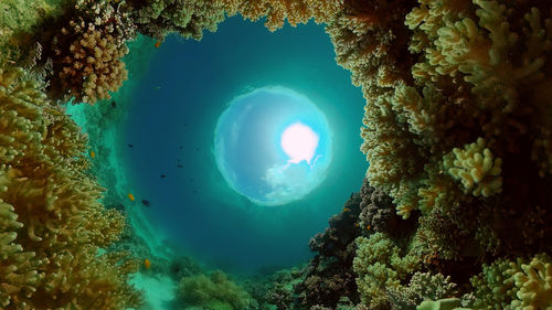 sea