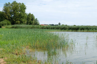 Scenic view of lake against sky