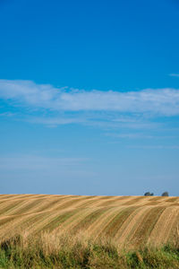 Rural scene