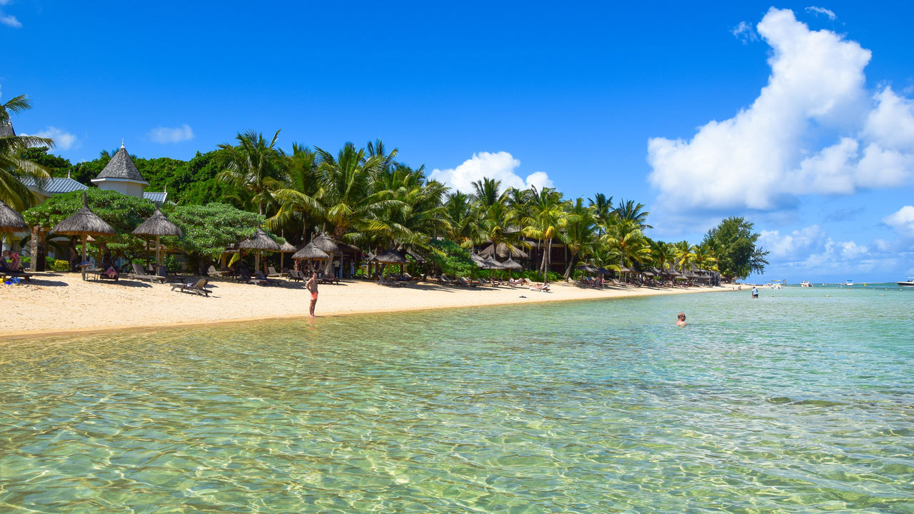 water, tree, sea, beach, sky, tranquility, tranquil scene, blue, scenics, beauty in nature, nature, palm tree, shore, idyllic, day, cloud, vacations, growth, rippled, outdoors, cloud - sky, tourism, calm, coastline, non-urban scene, travel destinations, remote, green color, no people