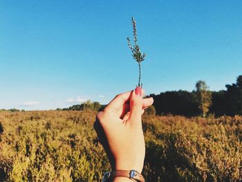 Cropped hand of woman holding plant against blue sky