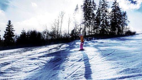 Person skiing on snow covered landscape against sky