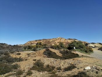 Scenic view of landscape against clear blue sky