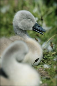 Close-up of white background