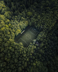 Football field in the woods