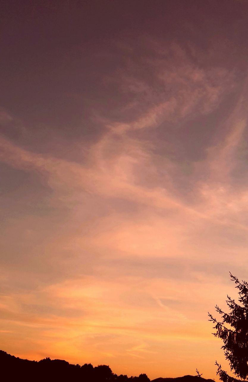 silhouette, sunset, sky, scenics, beauty in nature, tranquility, tranquil scene, cloud - sky, low angle view, nature, tree, idyllic, orange color, cloud, landscape, dusk, outdoors, dramatic sky, cloudy, no people