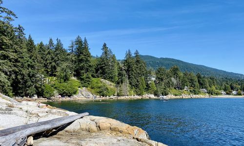 Scenic view of river by trees against blue sky
