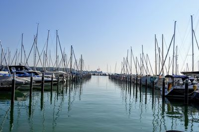 Sailboats moored in harbor