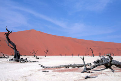 View of a desert