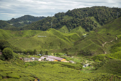 Scenic view of field against trees and mountains