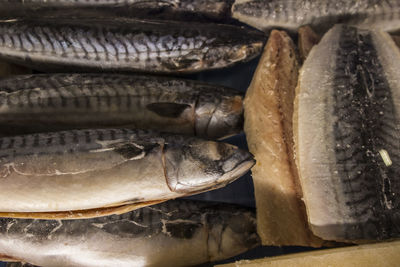 High angle view of fish for sale in market